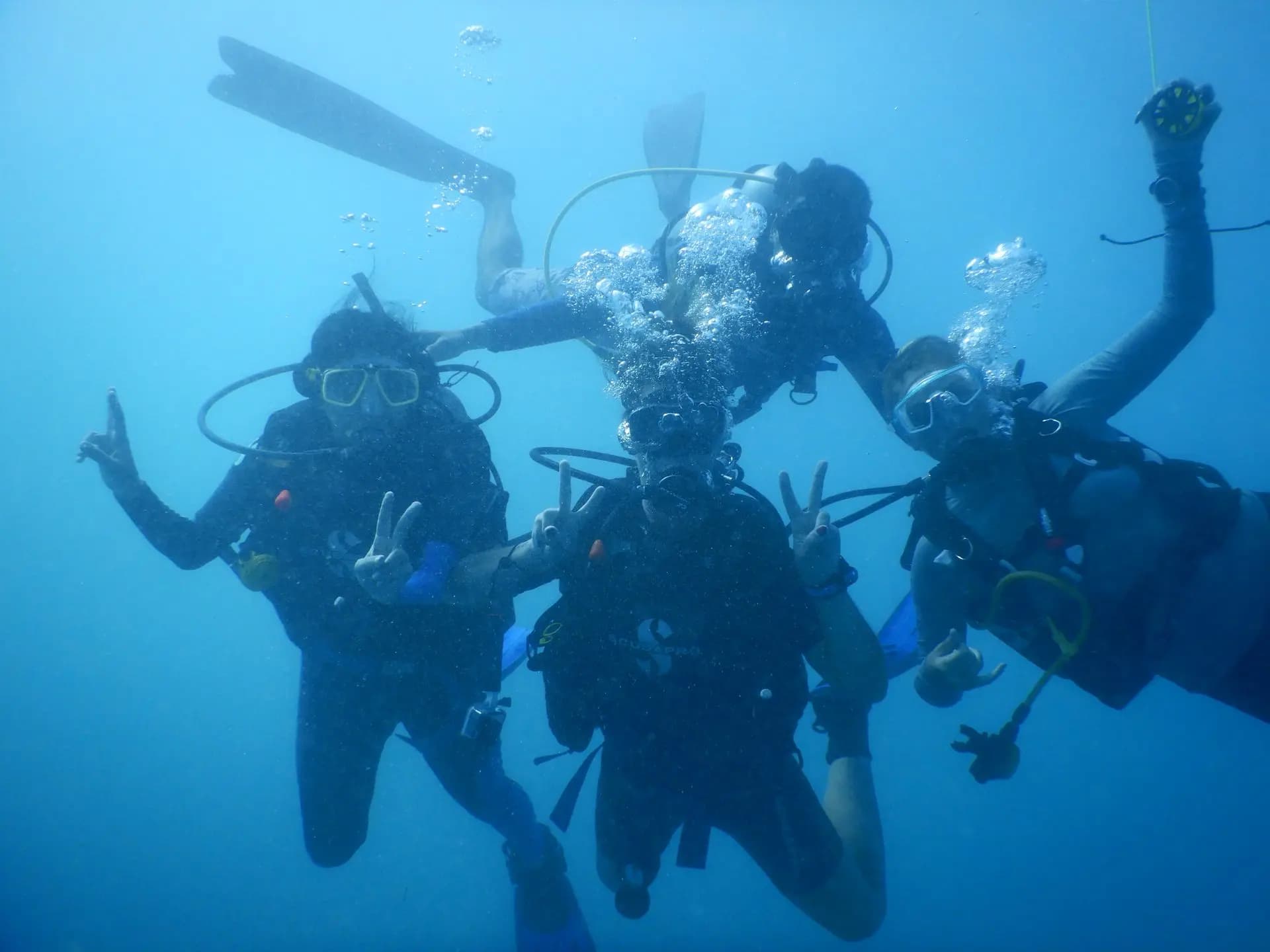 Intro Diving