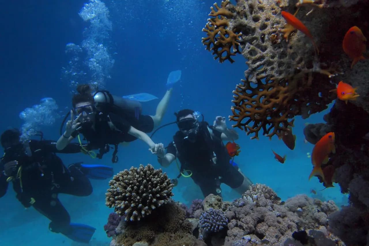 Open Water Diver Course