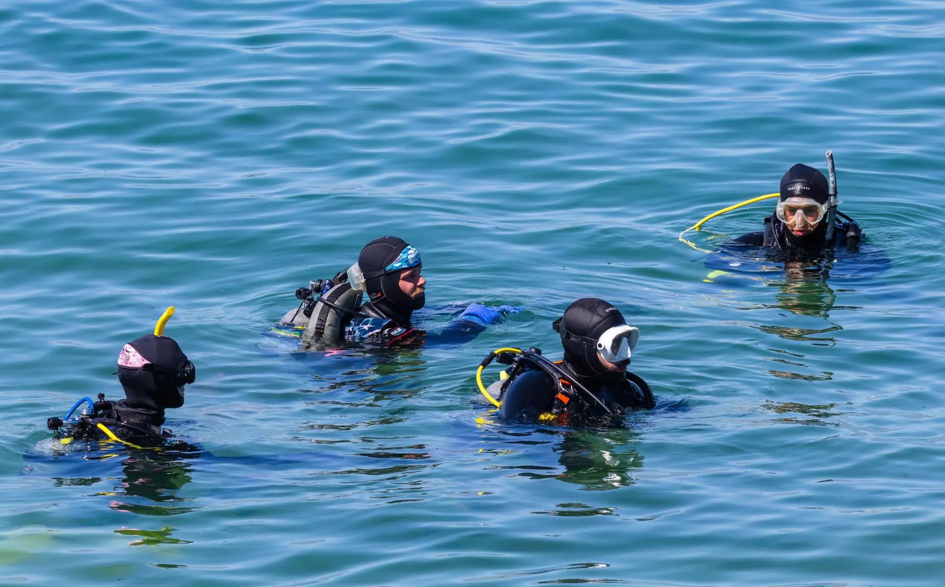 Professional Diving
