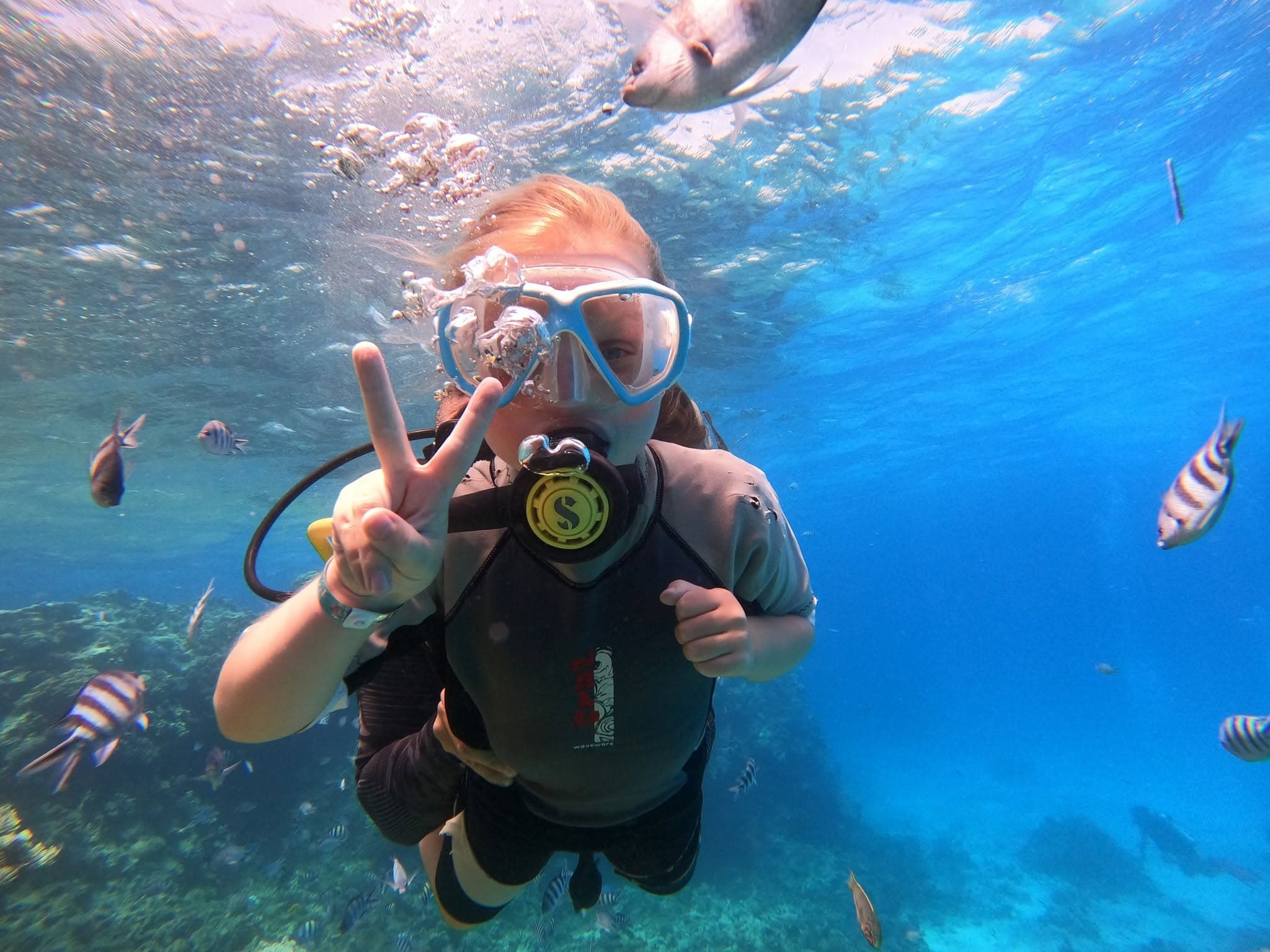 Red Sea contact