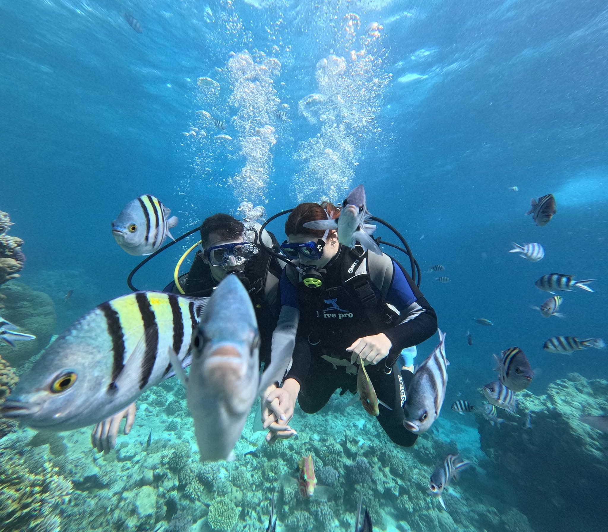 Graquamarine Red Sea gallery image 5