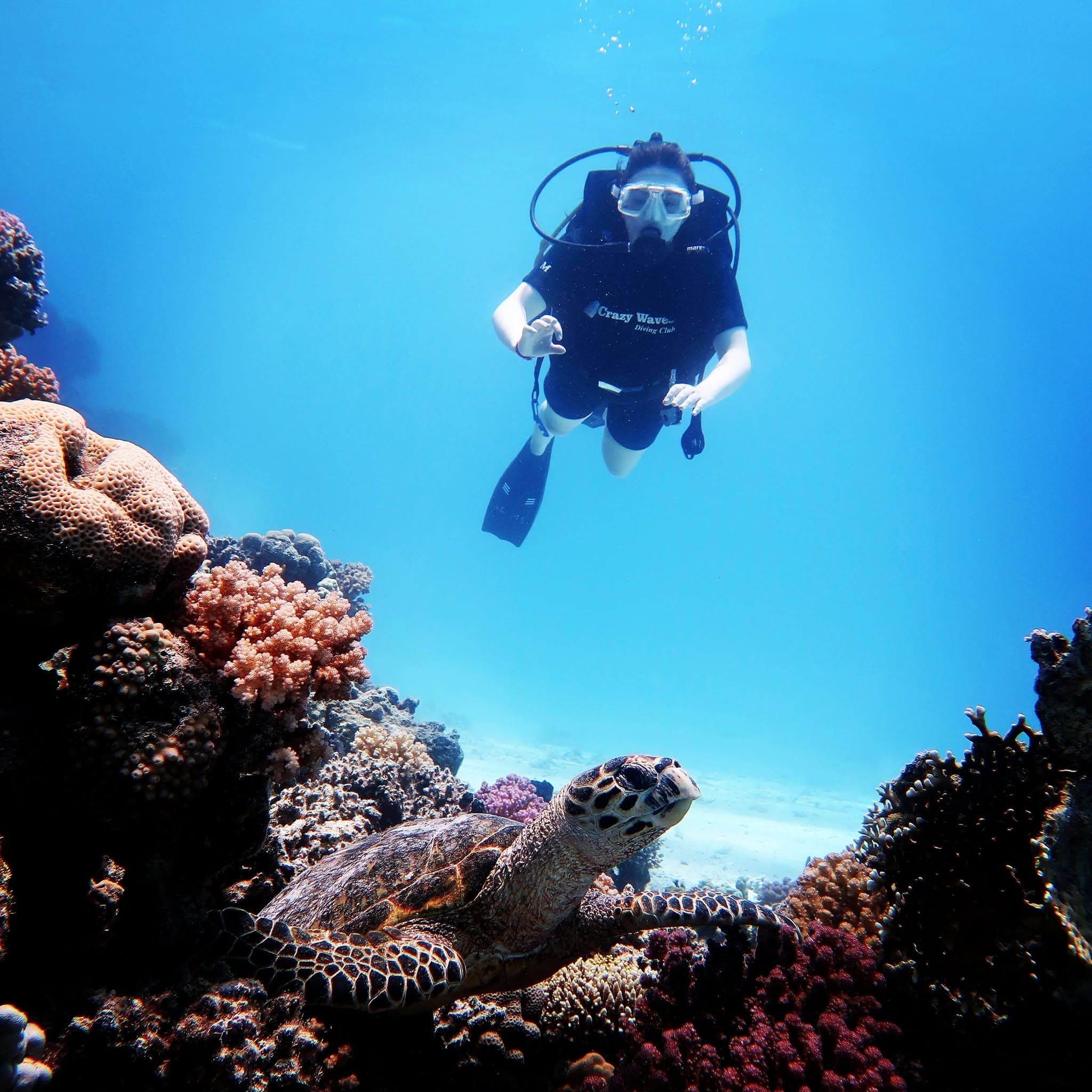 Graquamarine snorkeling and diving hero image