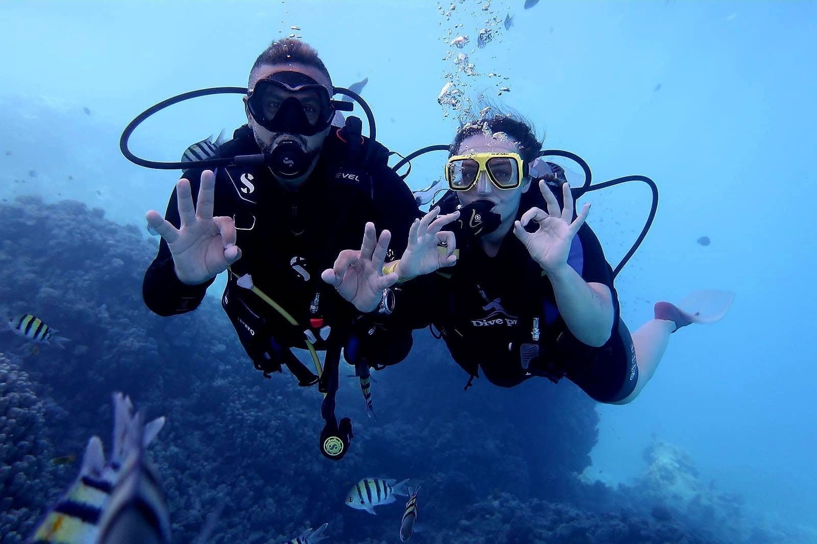 Graquamarine Hurghada sea adventure hero image